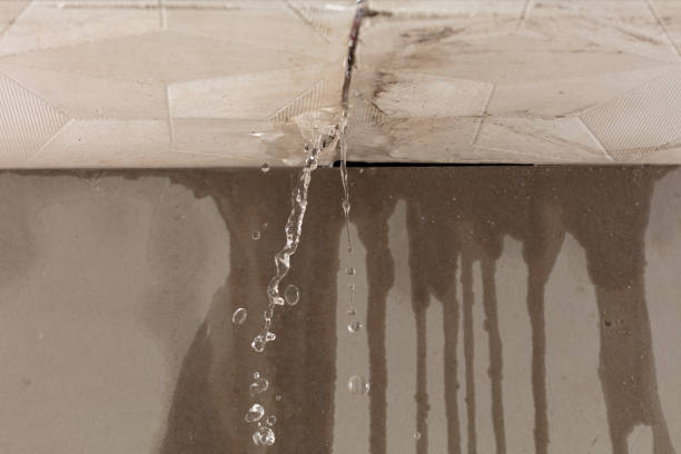 Professional Structural Drying technician working in Olden, TX